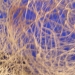 ciel 4
