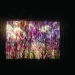 Projection 6