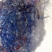 tetebleue. Angle de vue 3